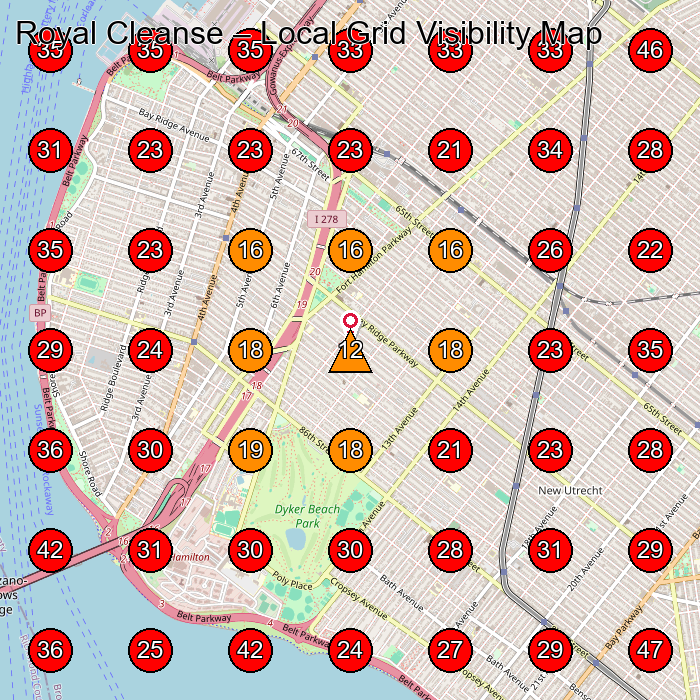 Royal Cleanse GeoGrid visibility map for Commercial Cleaning Service in Brooklyn